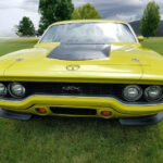 71-roadrunner-elastomeric-beak-and-eyebrow - Cleaned